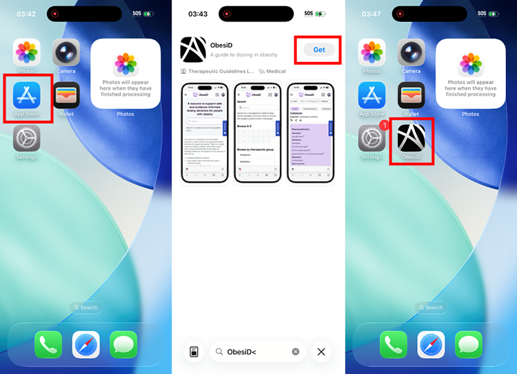 mobile app installation ios instructions